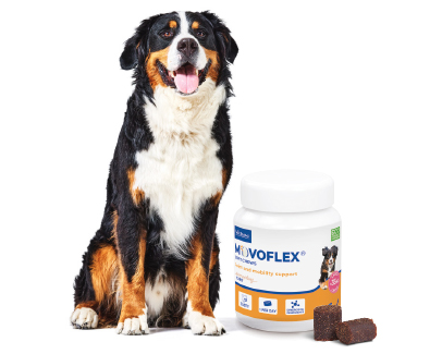 Movoflex-large-dogs.jpg